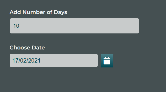 AFTER: We type 10 and hit return (to trigger the rules and actions), this subsequently adds 10 days to the "Choose Date" field.